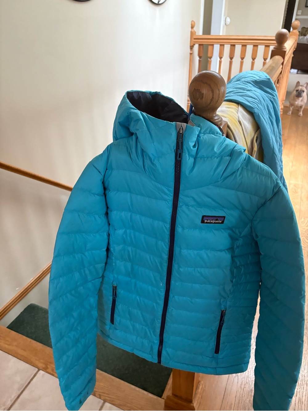 Patagonia Small Hooded Puffer Jacket - Bright Teal